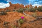 Sunset, Devils Garden, Arches National Park, Utah, USA. Art Print